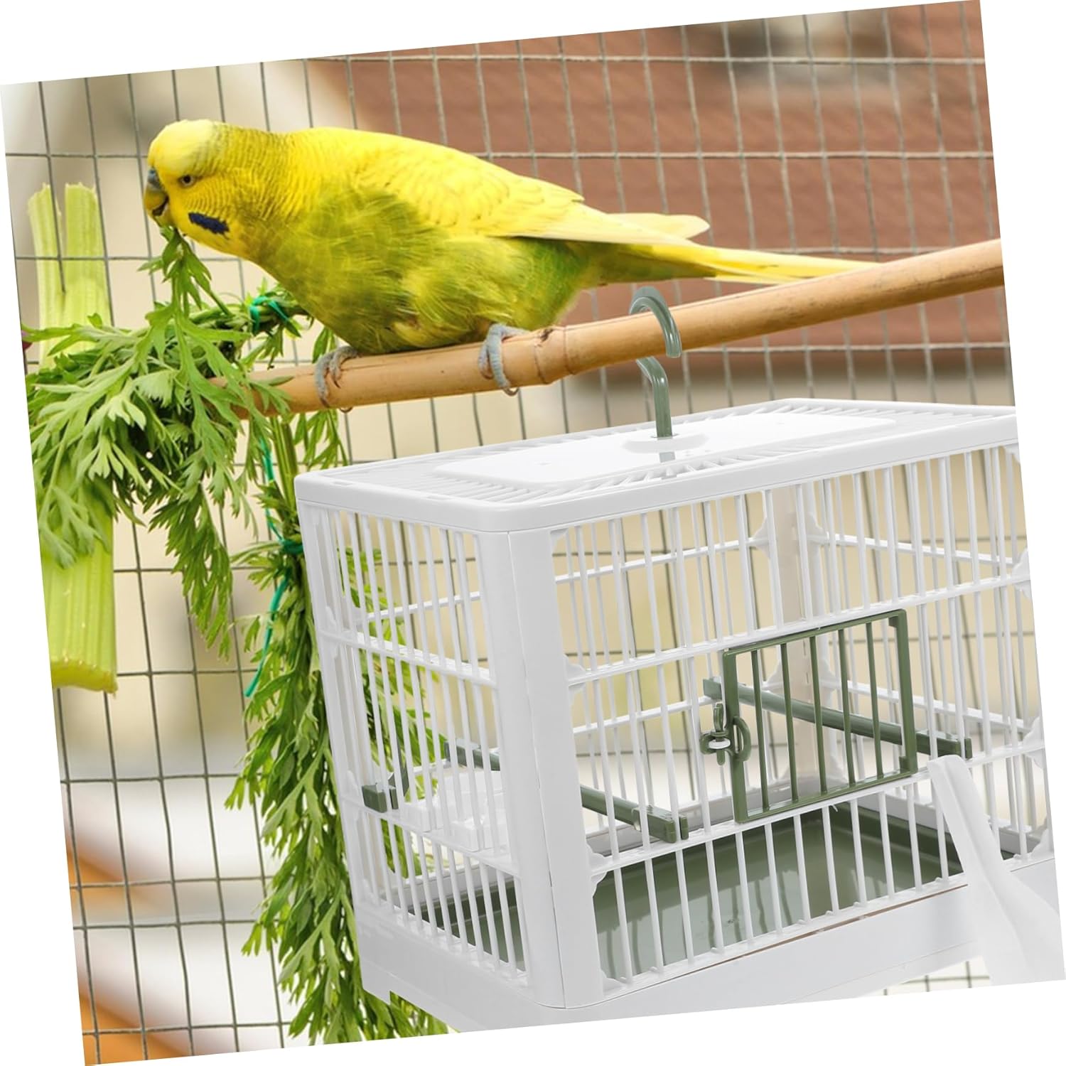 BESPORTBLE Foldable Bird Travel Carrier Cage Lightweight Portable Design for Parakeets and Small Birds for Travel and Outdoor Use Construction for Reliability