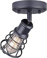 Vista 3 de CANARM ICW611A01GPH Otto 1 luz de techo/pared grafito con pantalla de jaula de metal