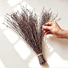 Natural Birch Branches, 50 Pcs Dried Twigs and Branches for Vases, 17" Tall Real Wood Sticks for Floor Vase Filler, Boho Rustic Home Decor, Wedding Centerpieces Arrangement