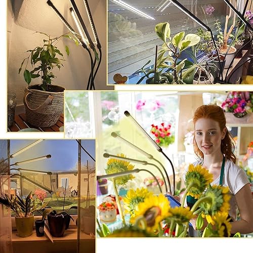 Miniatura 4 de bseah Luces de plantas para plantas de interior, luces de cultivo para semillas, encendido y apagado automático LED de espectro completo