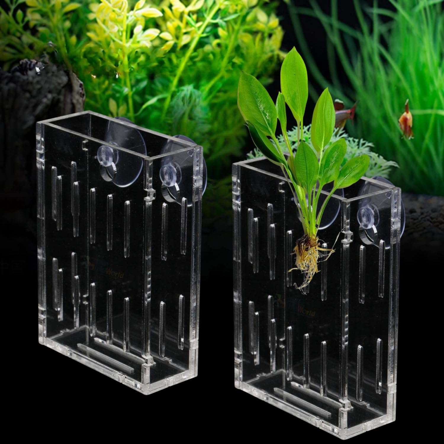 VAYINATO® 2 Pcs (Small - 6cm) Acrylic Transparent Water Plant Holder with Strong Suction Cup for Aquarium Fish Tank, Aquaponic Plant Growing Landscape by Petzlifeworld (B0D3L28788) Amazon Price History, Amazon Price Tracker