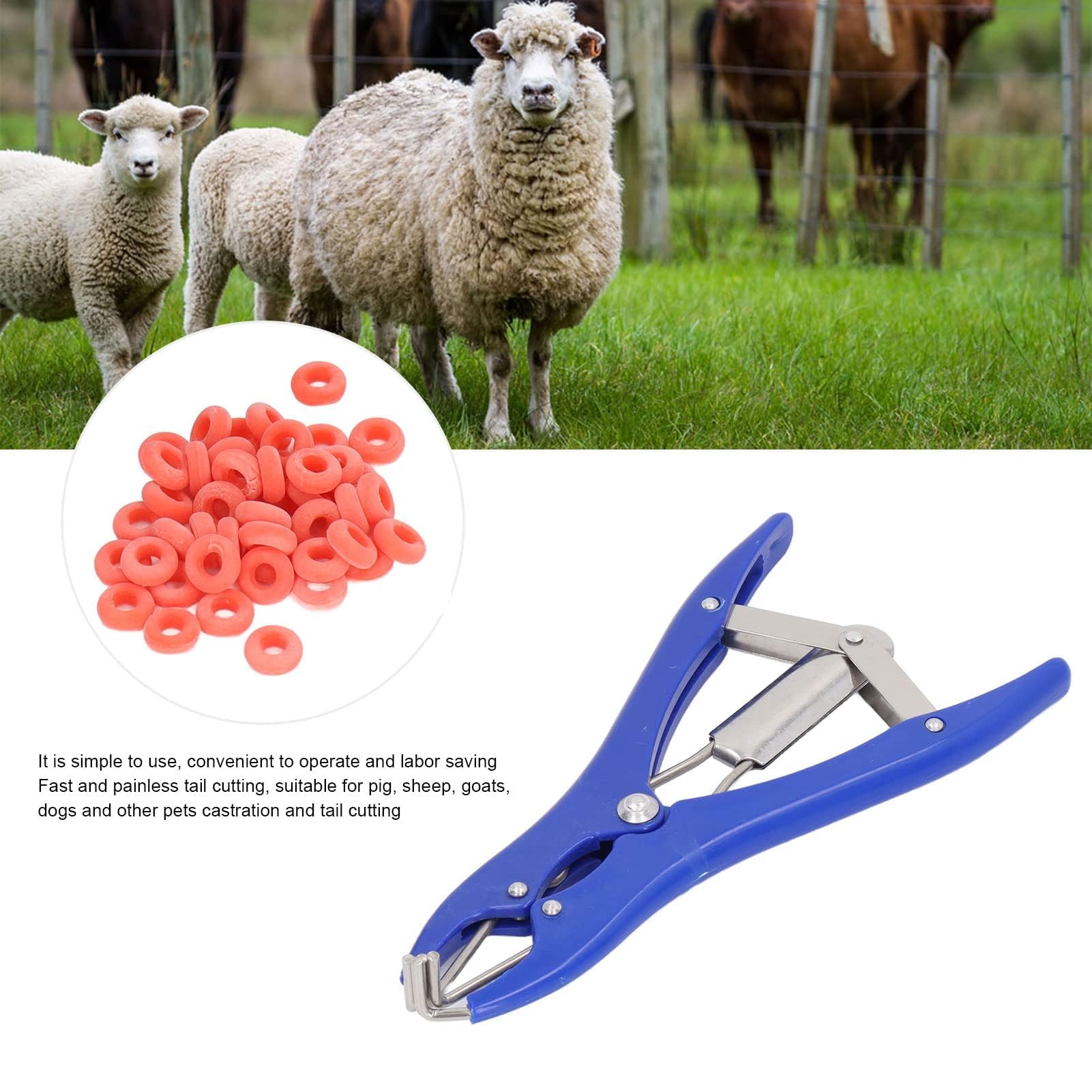Kit Professionale per Castrazione 1 Pinza Elastrator in Plastica Durevole 100 Anelli Elastici di Gomma Rossa, per Ovini, Caprini e Suinetti Strumento per Allevamento e Uso Veterinario