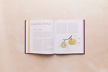 洋書 Mille Vignes - Pascaline Lepeltier One Thousand Vines by Pascaline Lepeltier – Domestique Wine