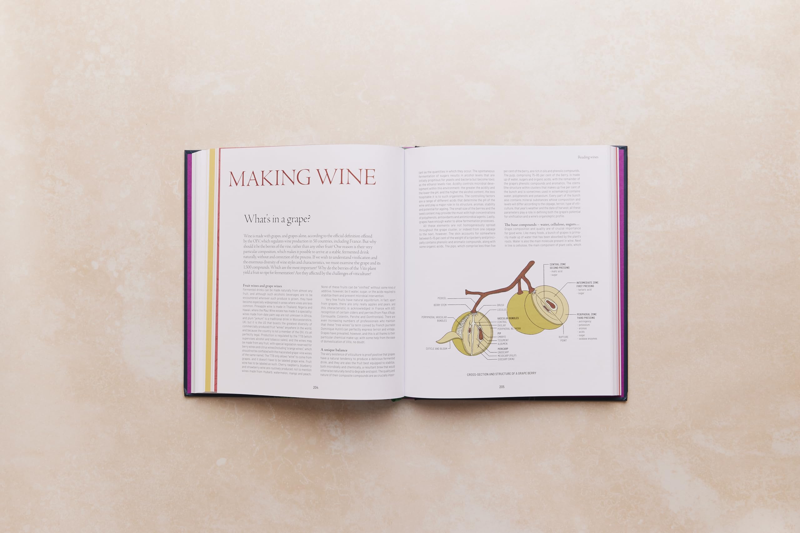 One Thousand Vines: A New Way to Understand Wine