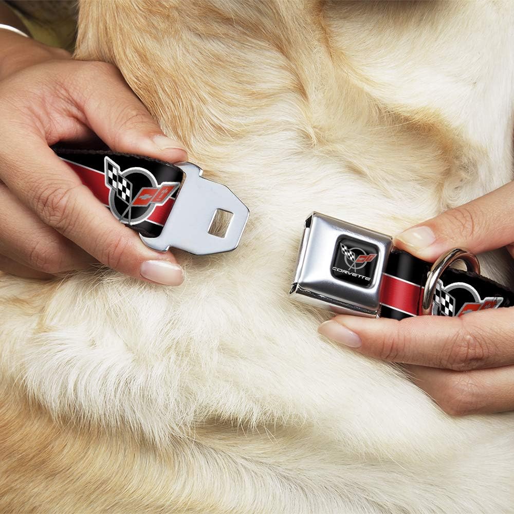 Buckle-Down Dog Collar Seatbelt Buckle Corvette C5 Logo Stripe Black White Red Gray Repeat 18 to 32 Inches 1.5 Inch Wide