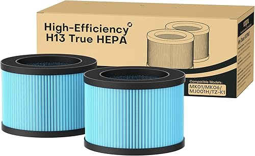 Paquete de 2 filtros de aire MK01 MK06 TZ-K1 KN6391RGB compatibles con AROEVE MK01 MK06, KN6391RGB, ToLife TZ-K1, 4 en 1 de alta eficiencia H13