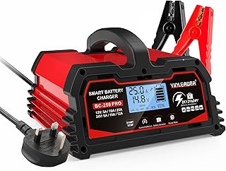 25Amp Car Battery Charger 12V /24V 12A /25A Intelligent Trickle Charger 12V LiFePO4 Battery Charger with LCD Display Charger for 12V/24V Car/Motorcycle Battery