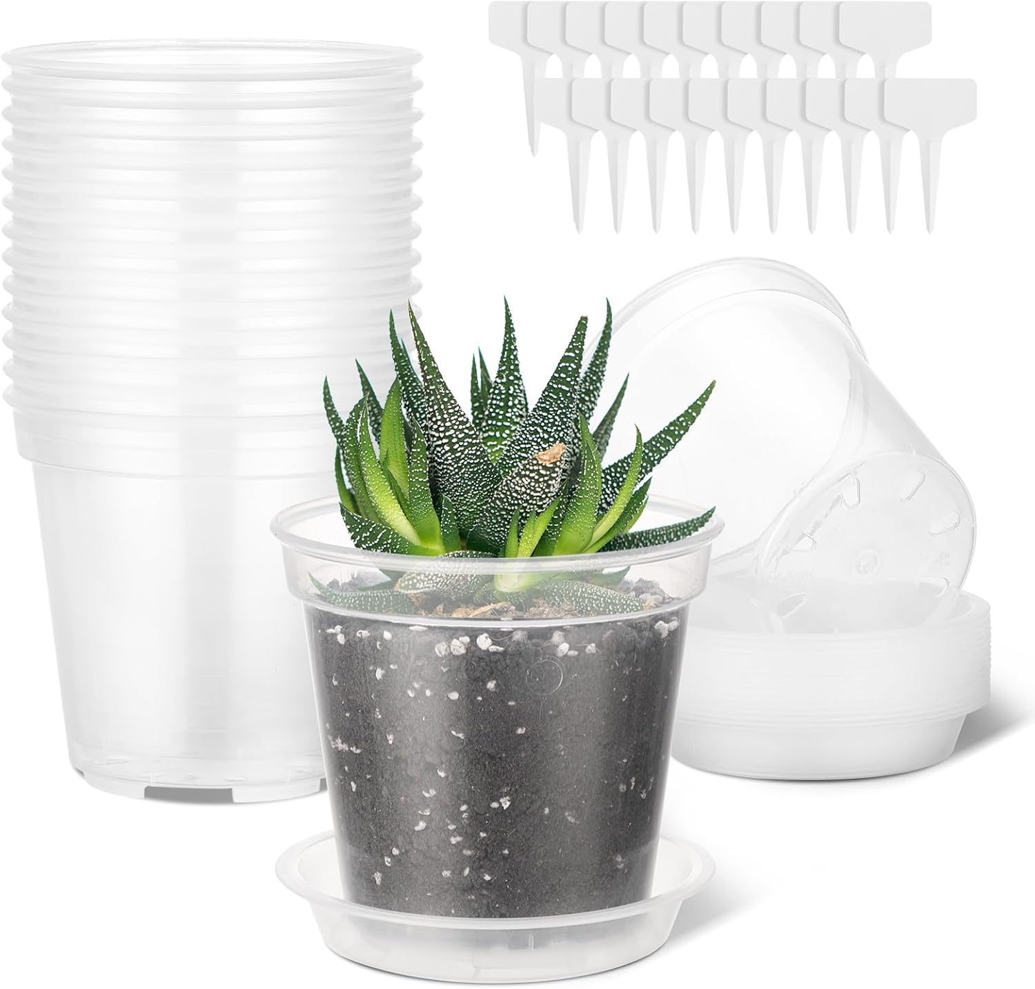GREANER 12 Inch Transparent Plastic Planter, 10 PCS Plastic Flower Pots with with Saucers and Drainage Holes, Seedlings Garden Pot for Indoor Outdoor(with 10PCS Plant Labels)
