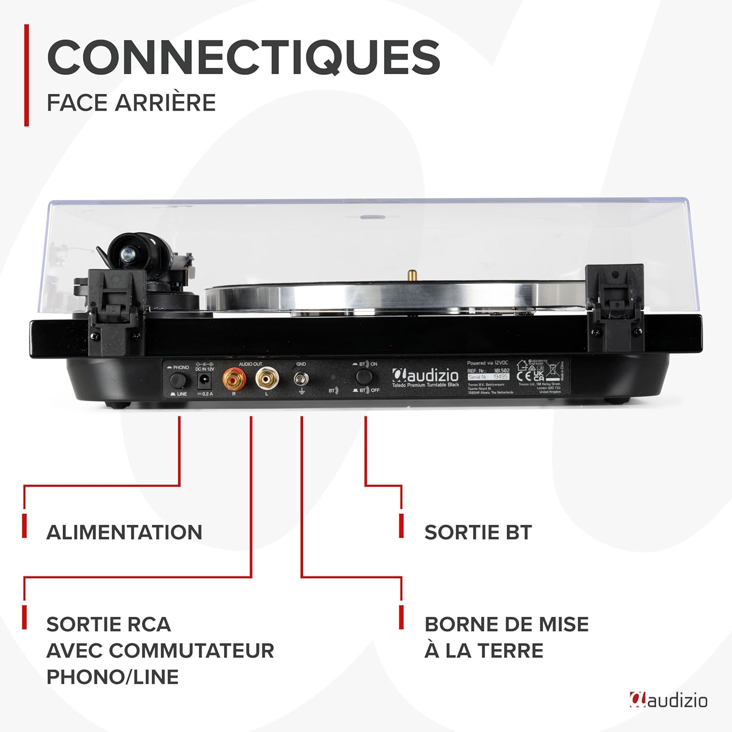 Rear panel connections of Audizio Toledo turntable