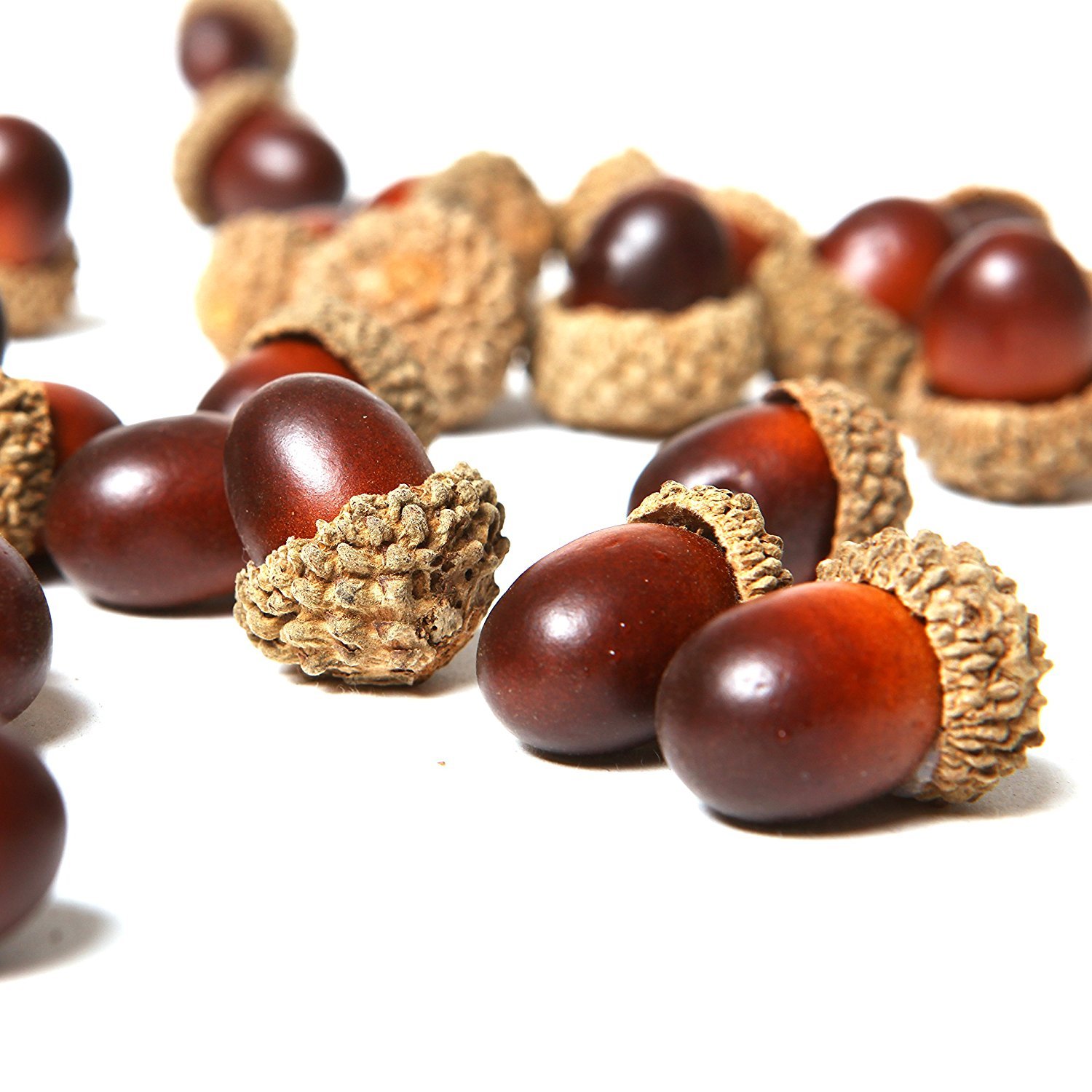 Lorigun50 Pcs Artificial Acorns with Natural Acorn Cap Fake Acorn for Decoration Home House Kitchen Decor Christmas Decoration Fall Table Scatter Crafting (Brown Faux Nut)