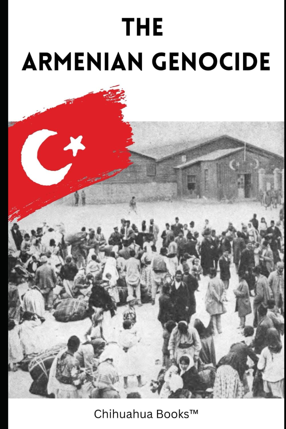 The Armenian Genocide