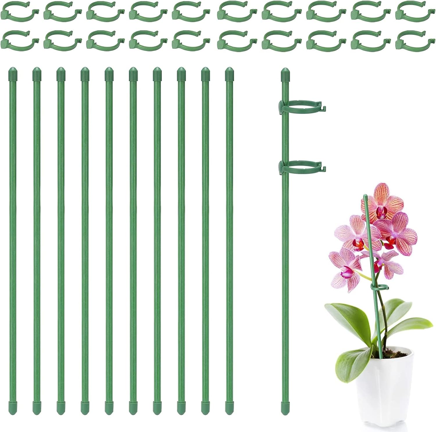 Lot De 10 Tuteurs Pour Plantes De 30cm - Support Pour Tiges Simples Avec Attaches Jardin Incluses