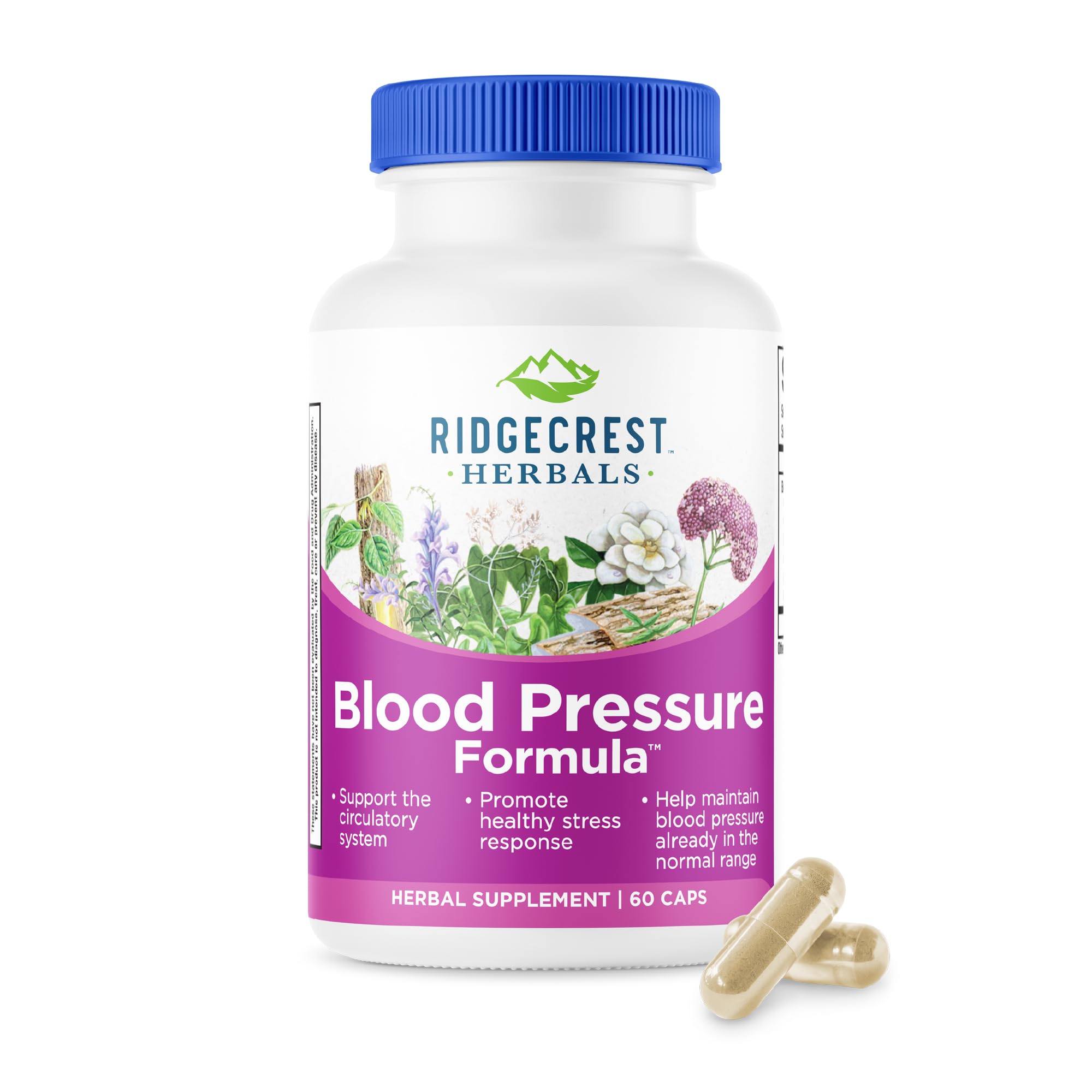 RidgeCrest Herbals Blood Pressure Herbal Formula, 12 Herbs, Poria Mushroom, Gastrodia, Gardenia, for Heart, Vascular, Circulation Health (60 Count (Pack of 1))