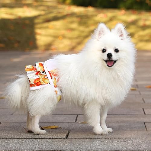 Miniatura 10 de Pañales reutilizables para perras, paquete de 3 pañales lavables altamente absorbentes, pañales flexibles para perritos, a prueba de fugas, pañales