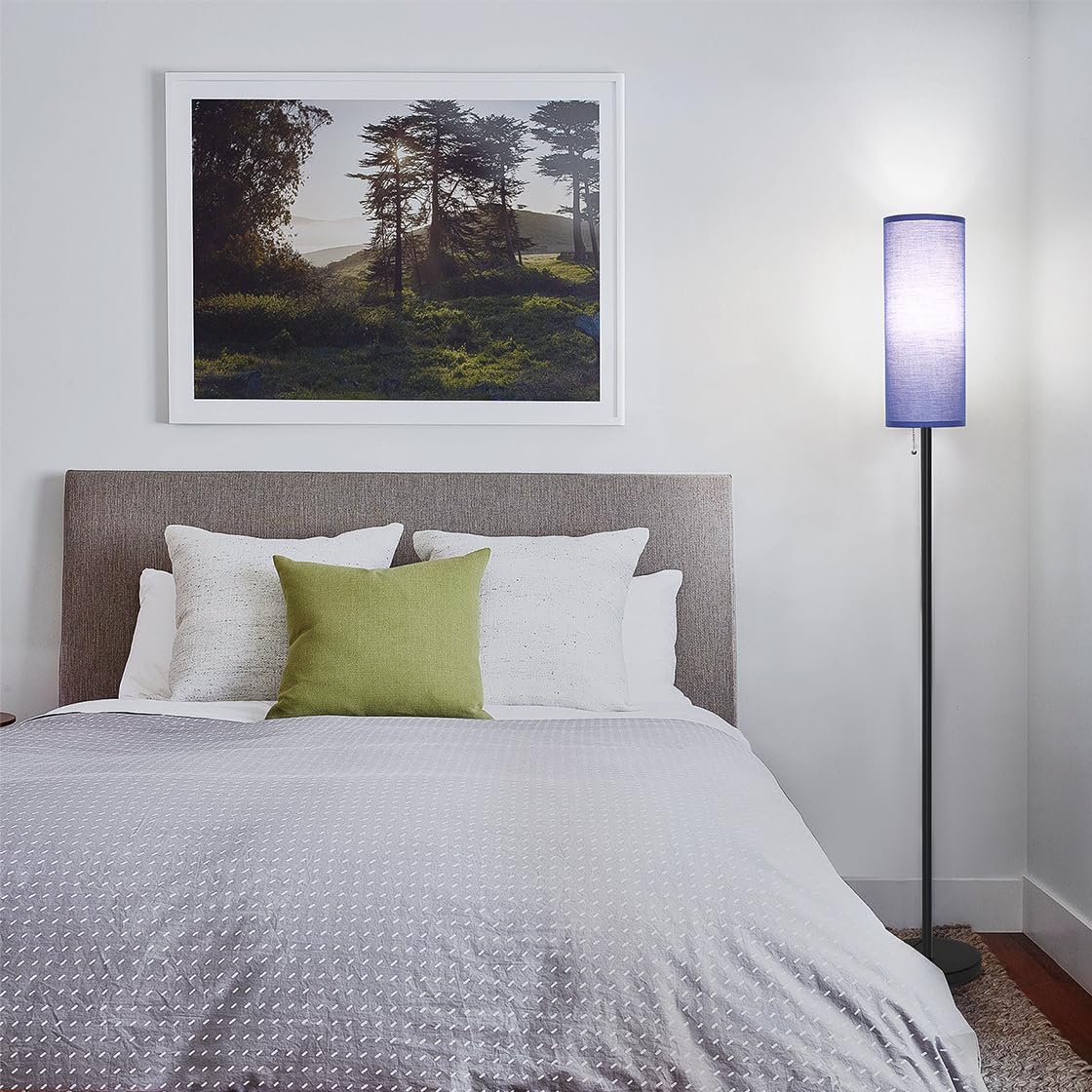 $63 Coucrek Floor Lamp, 3 Color Temps, Blue