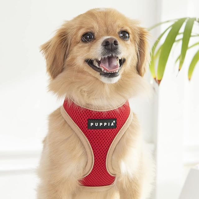 Foto 4 de 7 de Puppia Soft Harness II - Arnés para Perros Muy Suave