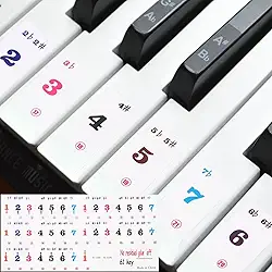 Generic Adesivos de teclado de piano, 61 teclas numeradas adesivo de piano guia removível para iniciantes aprendendo