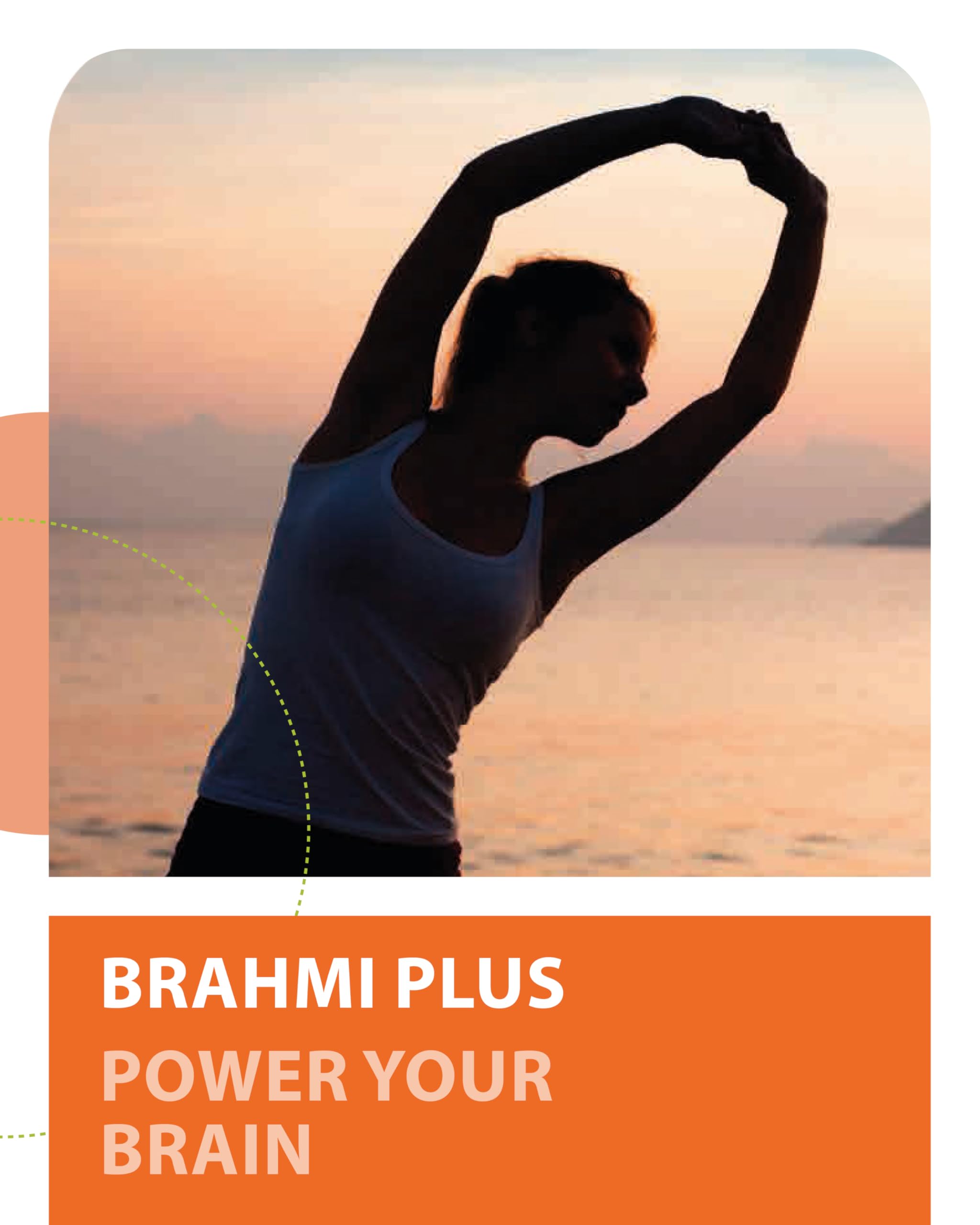 BRAHMI Plus Konzentrations- & Gehirn Kapseln für Frauen 120 Stk. vegan - Mit Vitamin B5 Pantothensäure für normale geistige Leistung, Mit Brahmi, Ginkgo, Gojibeere & Zink