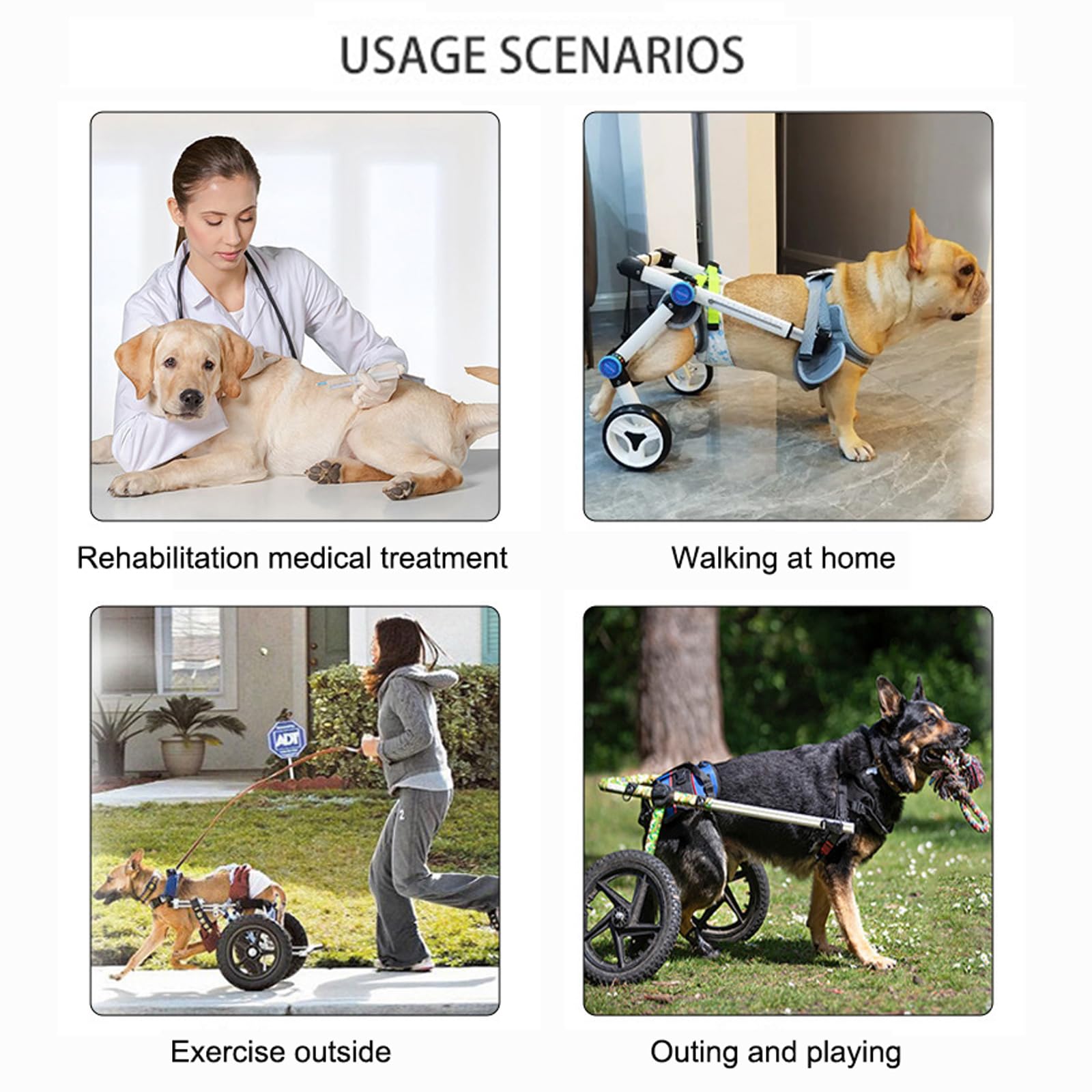 Sedia a rotelle Regolabile per Cani a 2 Ruote, Ruote per Zampe Posteriori, Sedia a rotelle per Animali Domestici per la Riabilitazione delle Zampe Posteriori, Adatta a Cuccioli e Gatti, gial