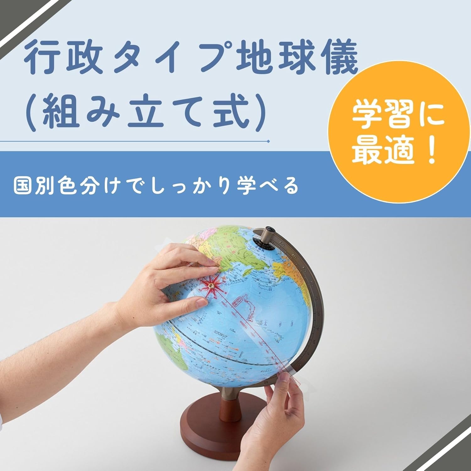 Raymei Fujii Globe Administrative Type Assembly Type 9.8 inches (25 cm) OYV24