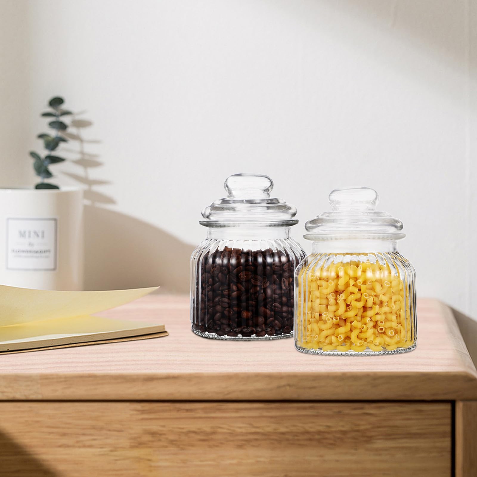 SOLUSTRE 2 Stück Eckige Vorratsgläser aus Glas 650ml mit Luftdichtem Deckel Spülmaschinenfest und Großer Öffnung für Küche und Party