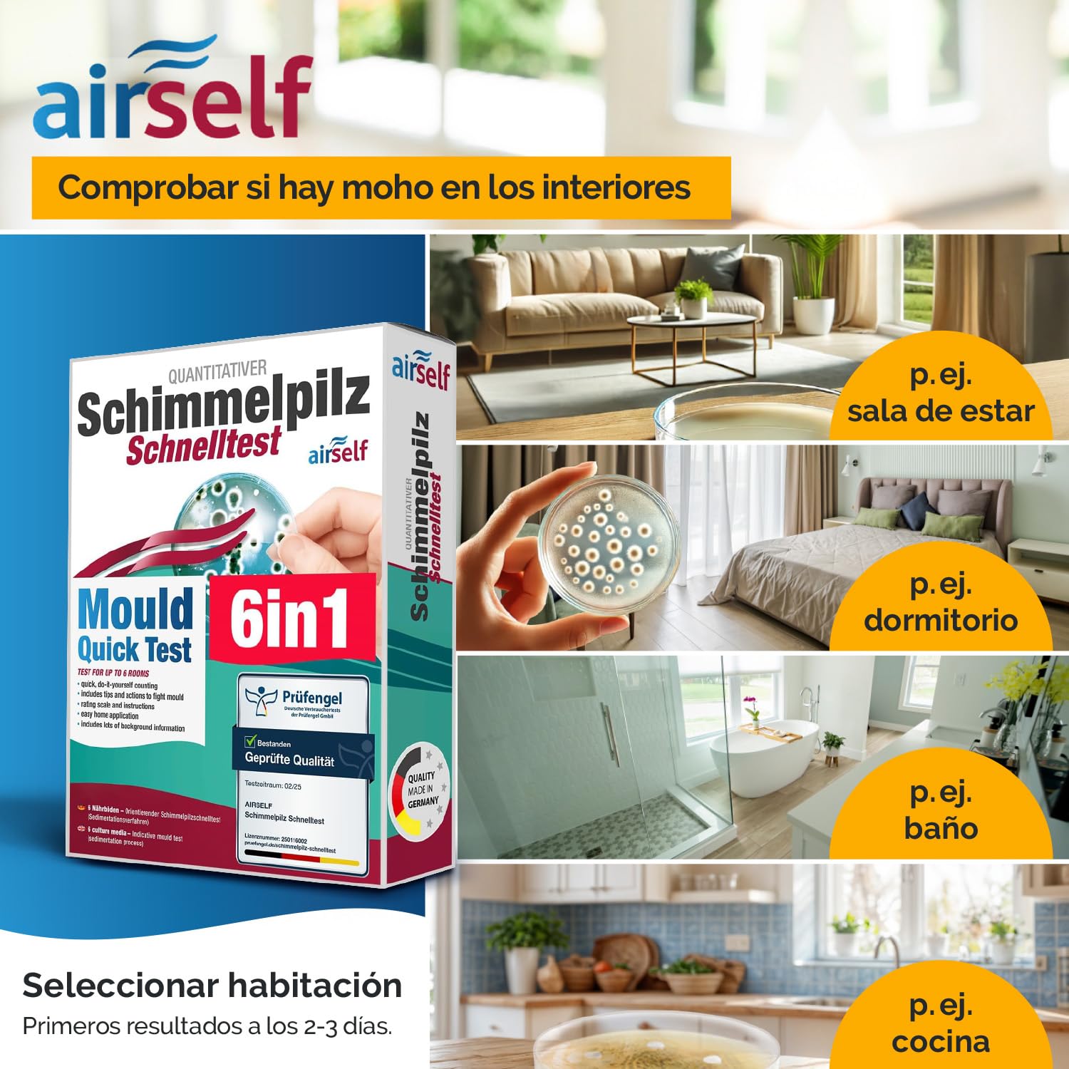 Test de moho para el hogar – Test rápido para 6 habitaciones – Evaluar calidad del aire y moho en interiores y hogar