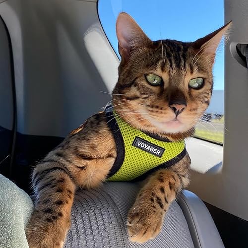 Vista 150 de Best Pet Supplies Voyager Step-in Air - Arnés de malla para todo tipo de clima, reflectante, antitirones, para perro y gato pequeño y mediano, Arnés