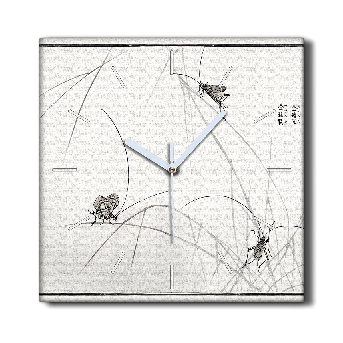 Horloge Murale Toile 30x30cm insectes pour une decoration zen de salon Coloray