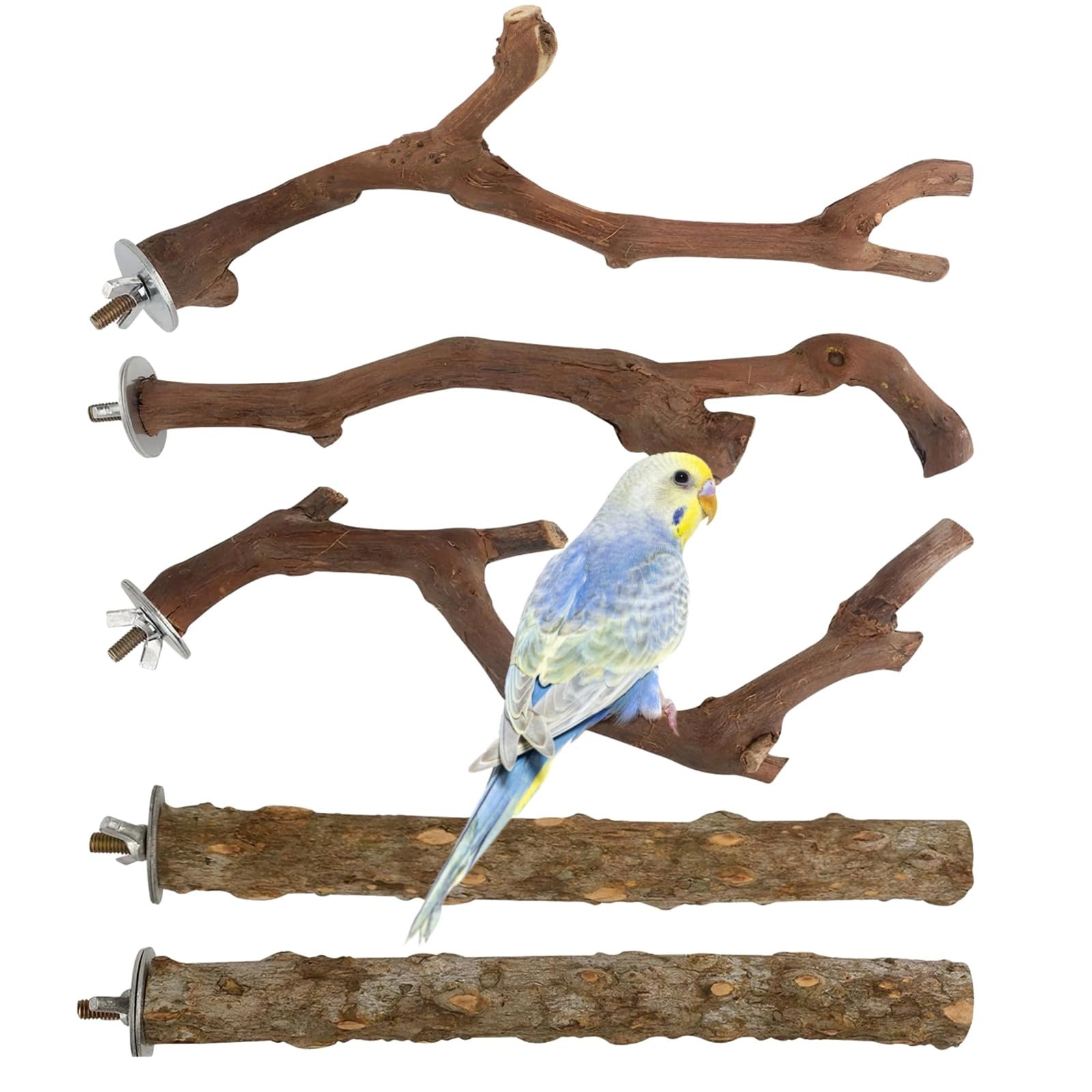 5 PCS Wood Bird Perches, Natural Grape Wood Branches with Mounts, Bird Stand and Paw Grinding Accessories, Cage Perches for Parakeet, Cockatiel, Conure, Budgie