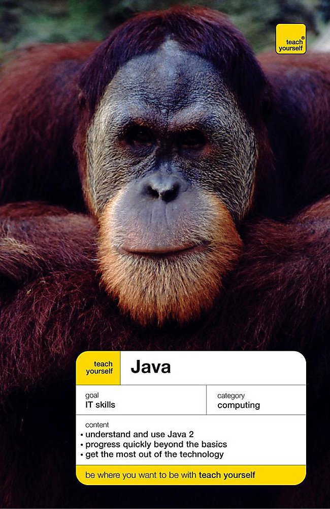 Teach Yourself Java New Edition (TYCO): Amazon.co.uk: Wright, Chris ...