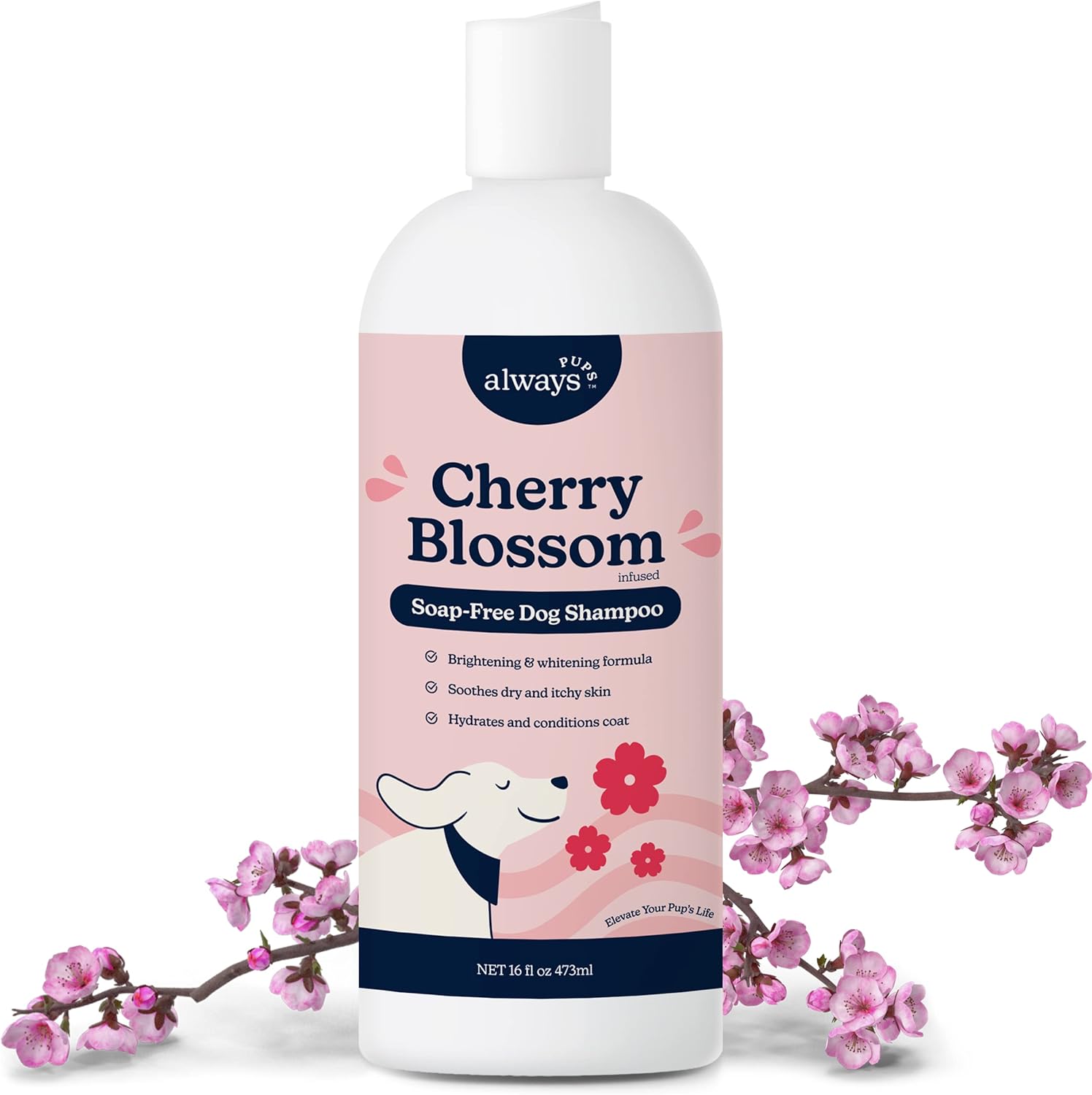 AlwaysPups Whitening Shampoo for Dogs Brightens