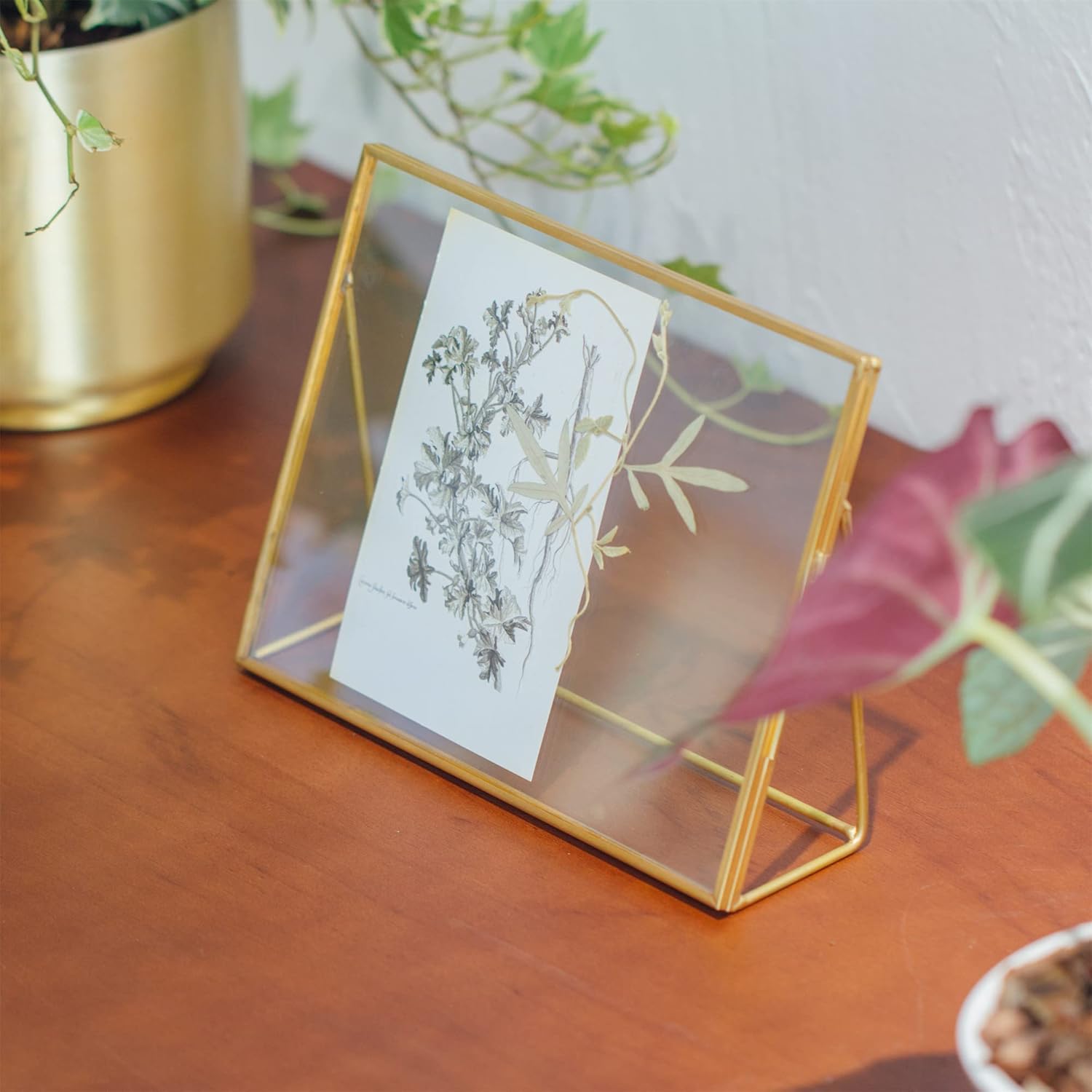 NCYP 8x6 Inches Small Place Card Holder, Wedding Table Signs, Tabletop Gold Glass Frame for Photo Picture, Brass Rectangle Display Frame for Pressed Dried Flowers, Ornament (Glass Frame Only)