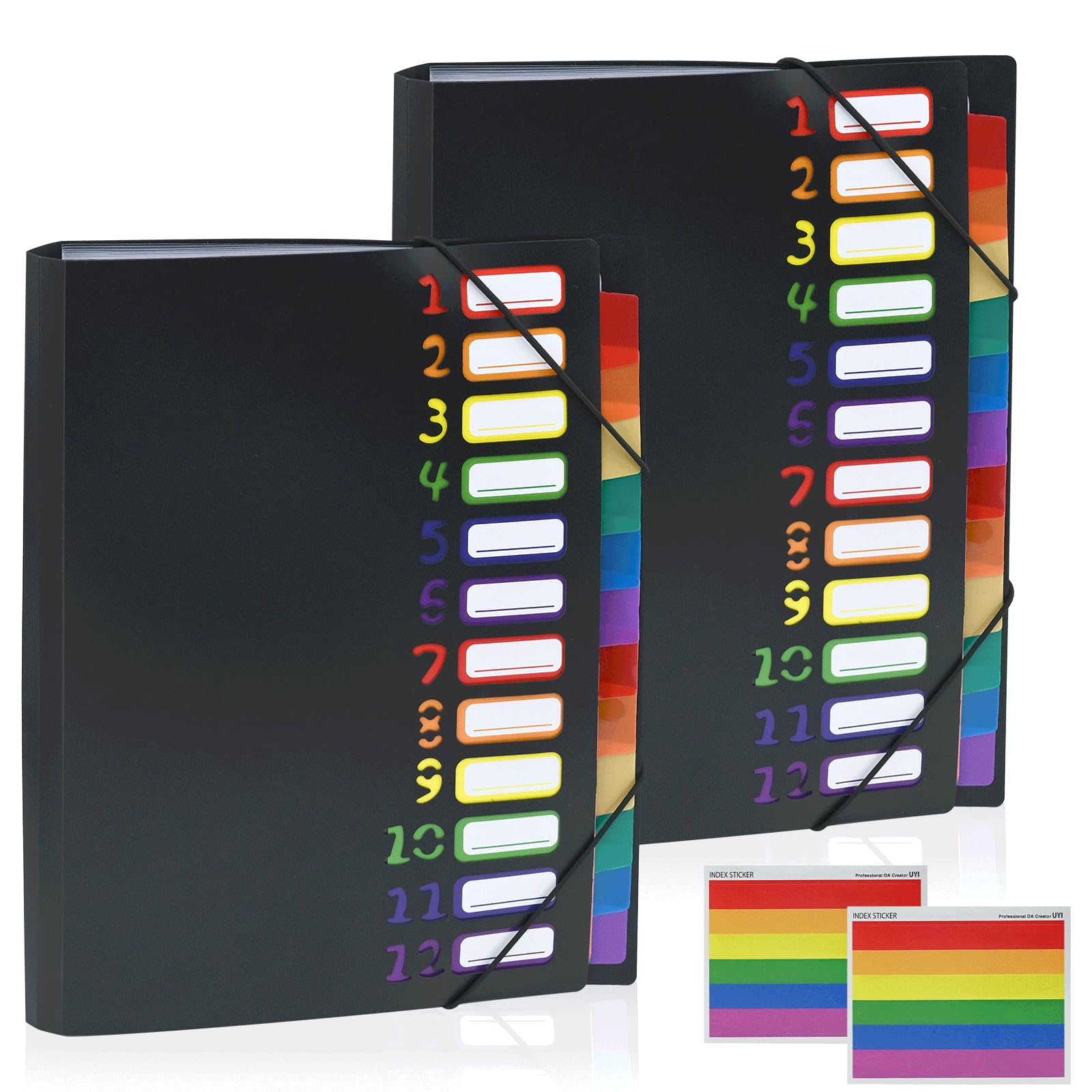 TAIANJI 2 Pack Expanding File Folder, 12 Pocket A4 Document Organizer, Black