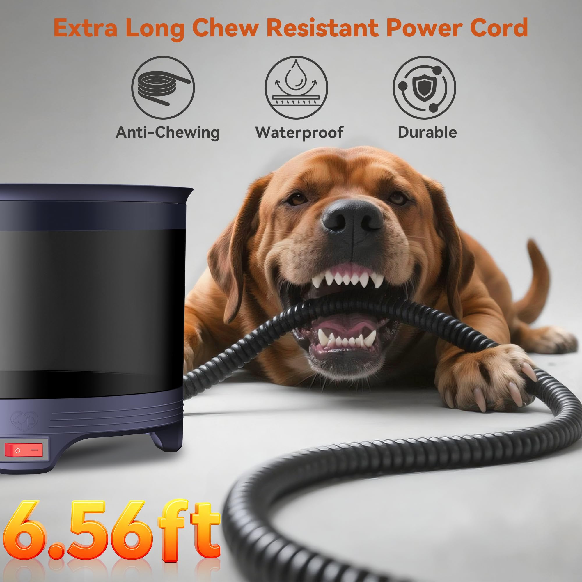 Cuenco de agua calentado para mascotas de 5,5 L, plato de agua calentado para perros, gatos, pájaros, pollos, reptiles y animales pequeños