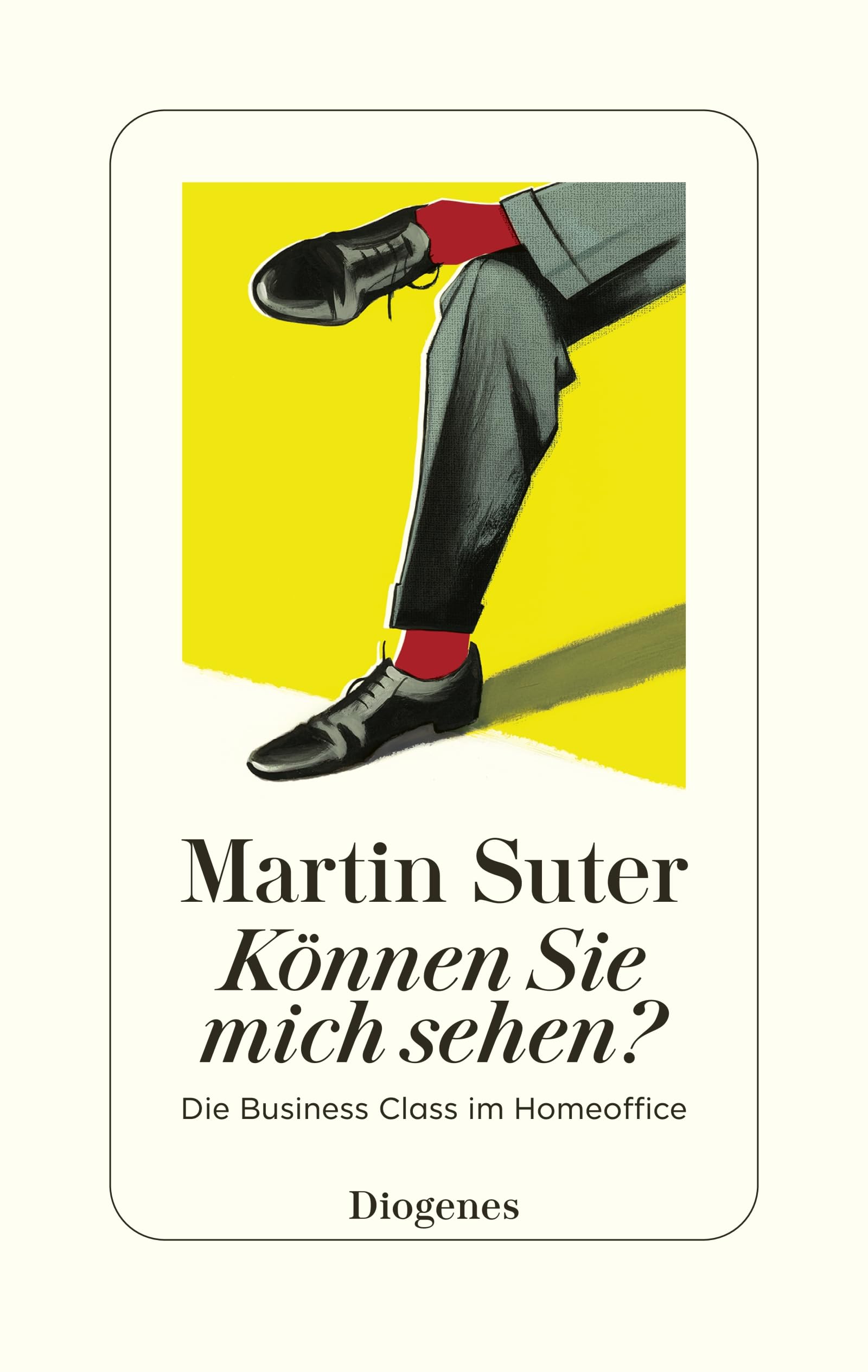 Können Sie mich sehen?: Die Business Class im Homeoffice (German Edition)