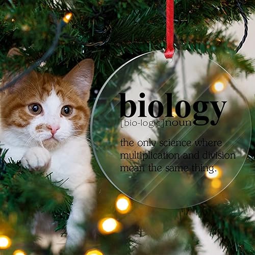 Miniatura 4 de Biología Sustantivo Definición Acrílico Relleno de Calcetines de Navidad Regalo para Niño Definición Divertida Adornos de Navidad Definición de