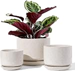 LE TAUCI Ceramic Plant Pots, Set of 3, 4.3+5.3+6.8 inch Plant Pots Indoor, Planters Pots with Drainage Hole & Saucer, Indoor Flower Pot with Mesh Pad, Pot Plante Interieur, Reactive Glaze Beige