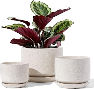 LE TAUCI Ceramic Plant Pots, Set of 3, 4.3+5.3+6.8 inch Plant Pots Indoor, Planters Pots with Drainage Hole & Saucer, Indoor Flower Pot with Mesh Pad, Pot Plante Interieur, Reactive Glaze Beige