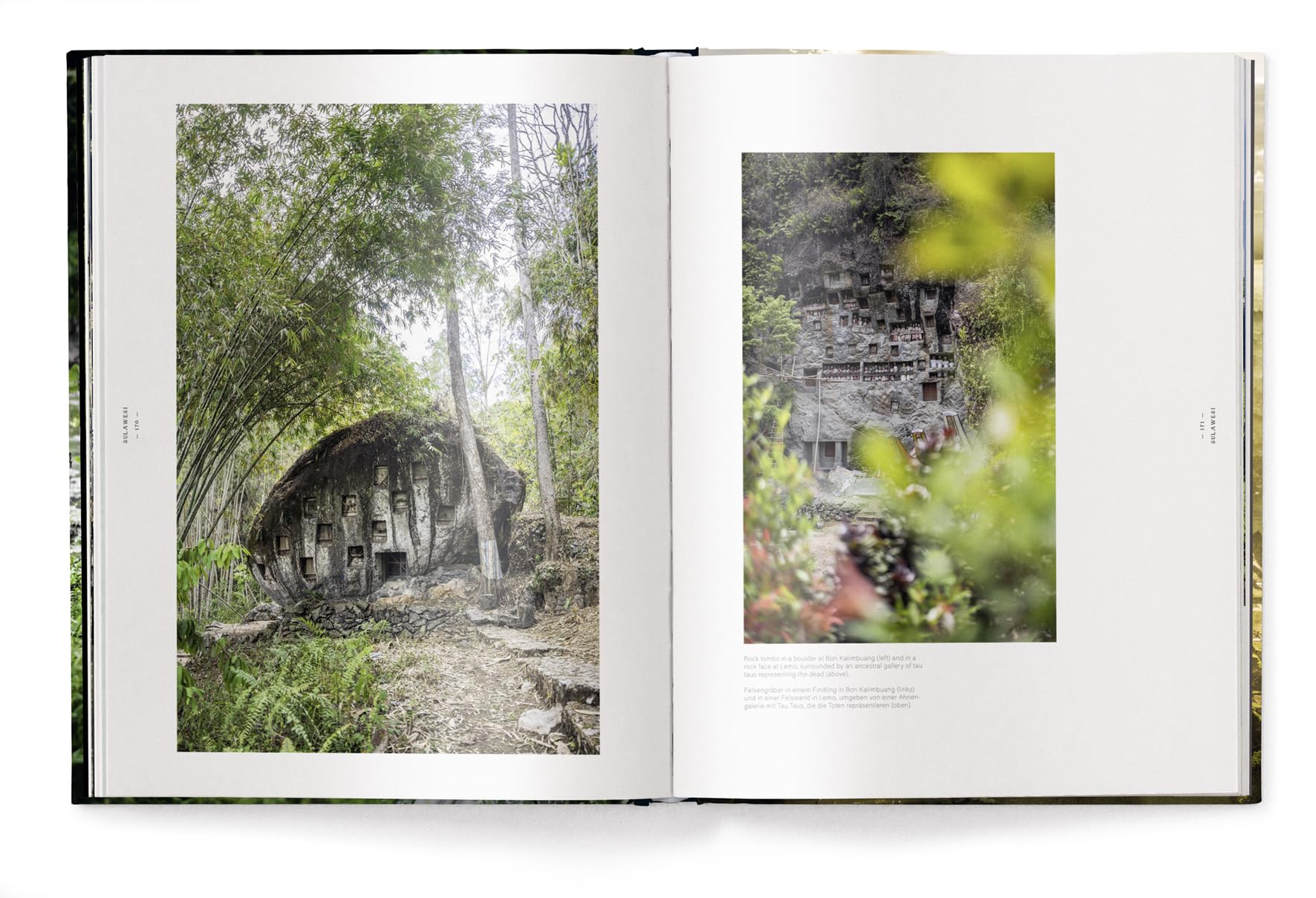Tropics & Traditions: Tales of Indonesia