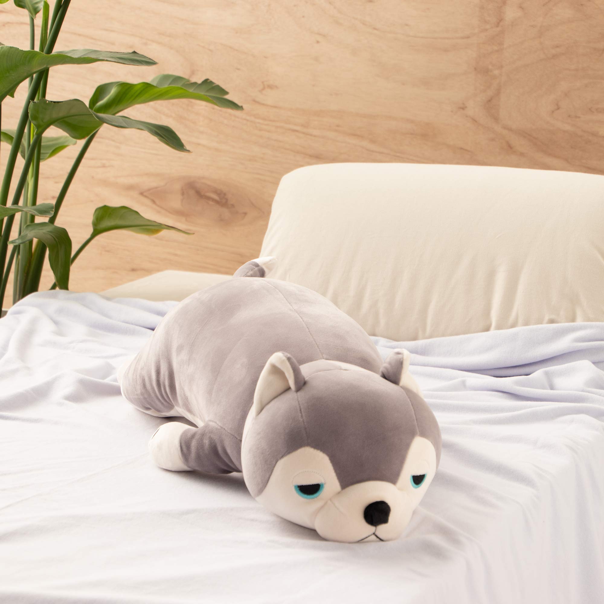Amazon｜りぶはあと 抱き枕 プレミアムねむねむアニマルズ ハスキー犬