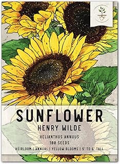 Seed Needs, Henry Wilde Sunflower Seeds for Planting (Helianthus annuus) Single Package of 100 Seeds - Heirloom & Open Pol...