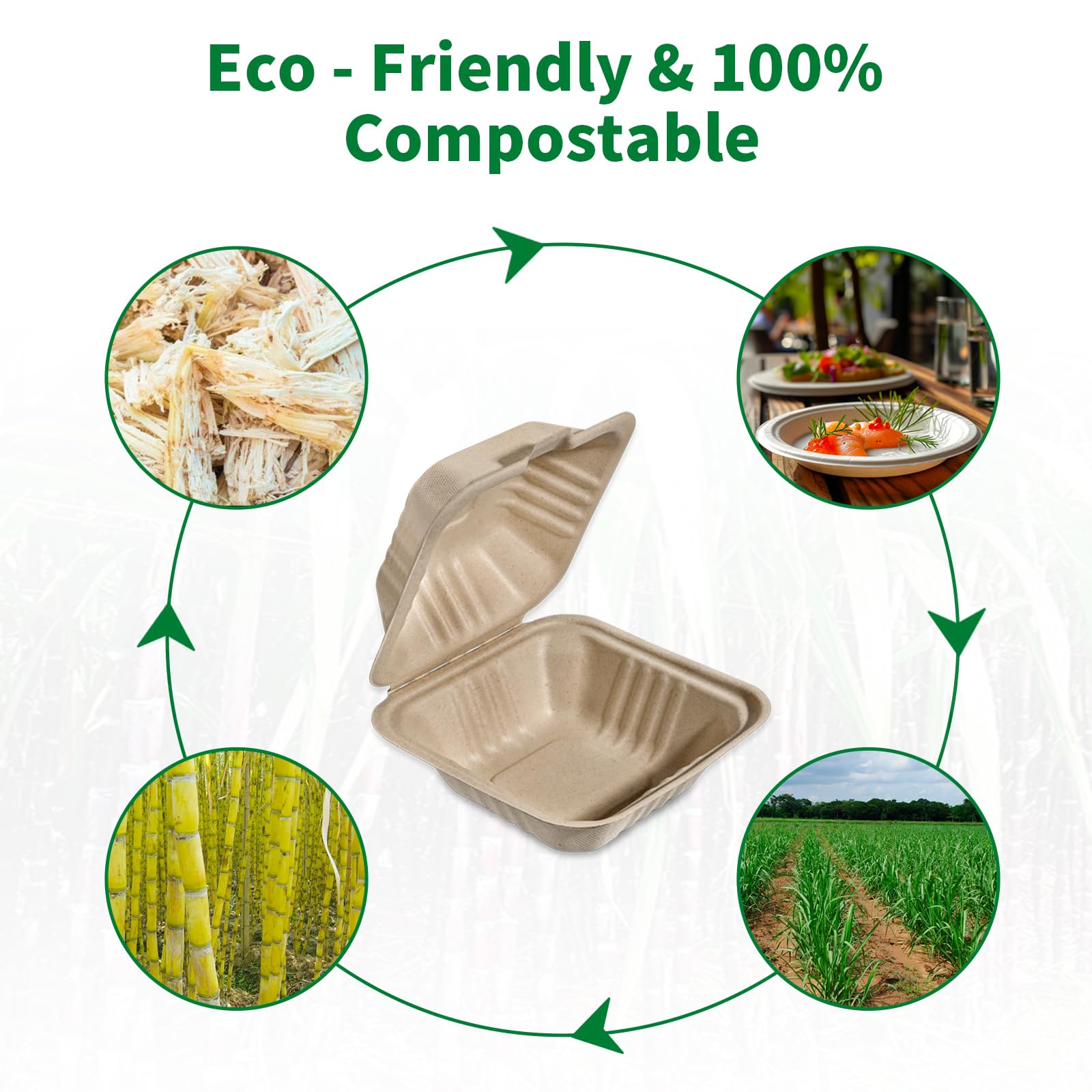 Snapklik.com : Aricsen Compostable 100 Pack 6x6 Inch Disposable Square ...