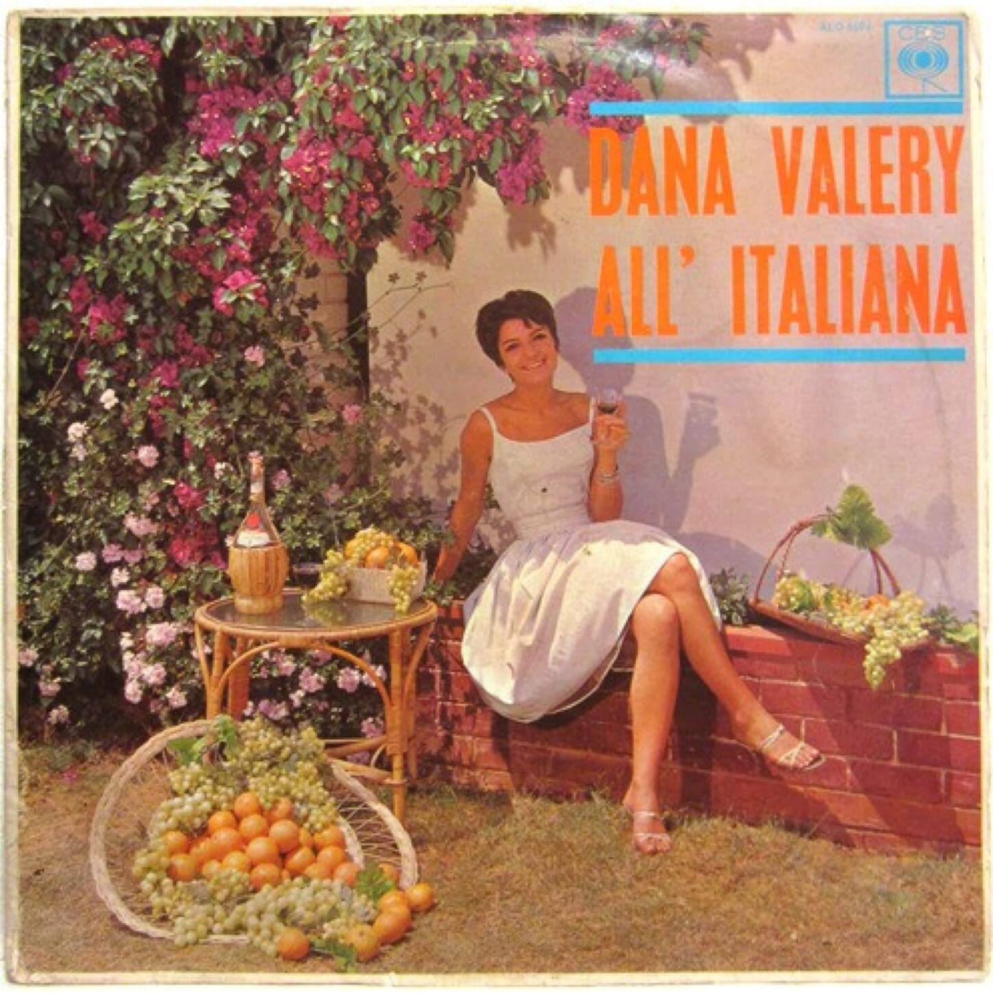 Dana Valery