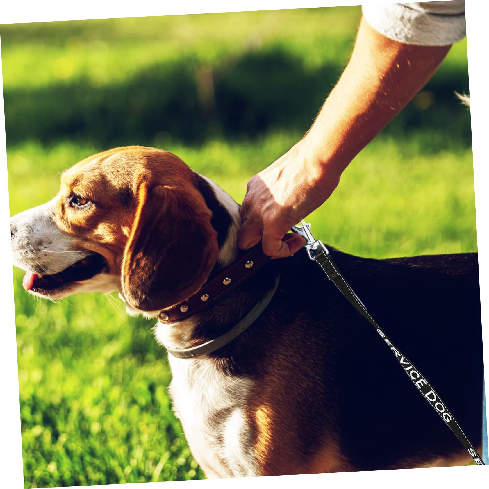 Angoily 5pezzi Guinzaglio Per Cani Imbracatura Multifunzionale Per Service Dog Accessorio Comodo e Resistente Per Passeggiate All Aperto