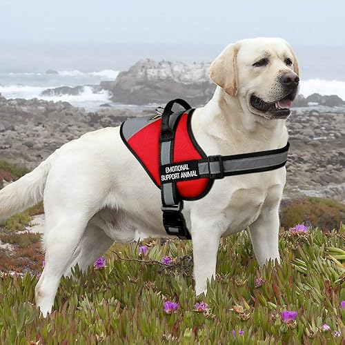 Miniatura 7 de Plutus Pet Emotional Support Dog Vest, No Pull Dog Vest Harness with Easy Control Handle, Reflective Breathable Soft Padded and Adjustable, for