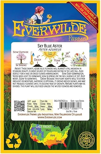 Miniatura 2 de Everwilde Farms - 500 semillas de flores silvestres nativas de Aster azul cielo - Paquete de semillas jumbo Gold Vault