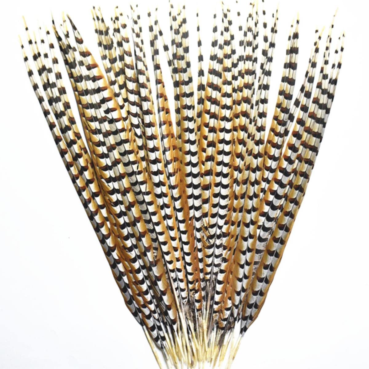 Piume di coda di fagiano lunghe 10-180 cm naturali per artigianato piume di fagiano decorazione accessori di carnevale-160-170 cm 163-172,7 cm, 10 pezzi