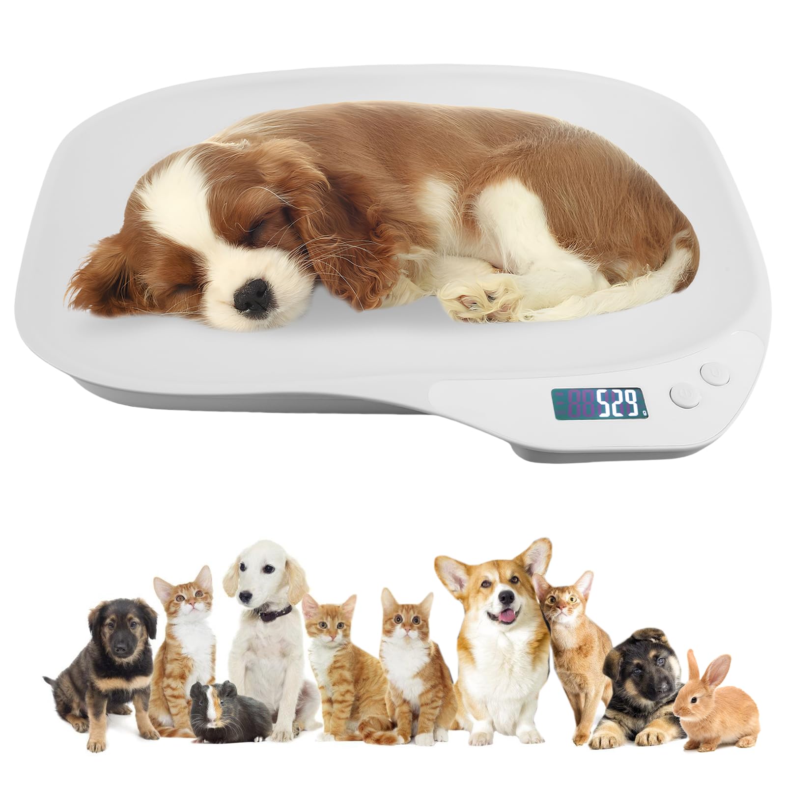 balance et numérique pour animaux de compagnie : 15 kg (± 1 g) - Balance LCD avec 4 modes (kg/oz/lb/ml), idéale pour petits chats et chiens (36 x 26 cm)