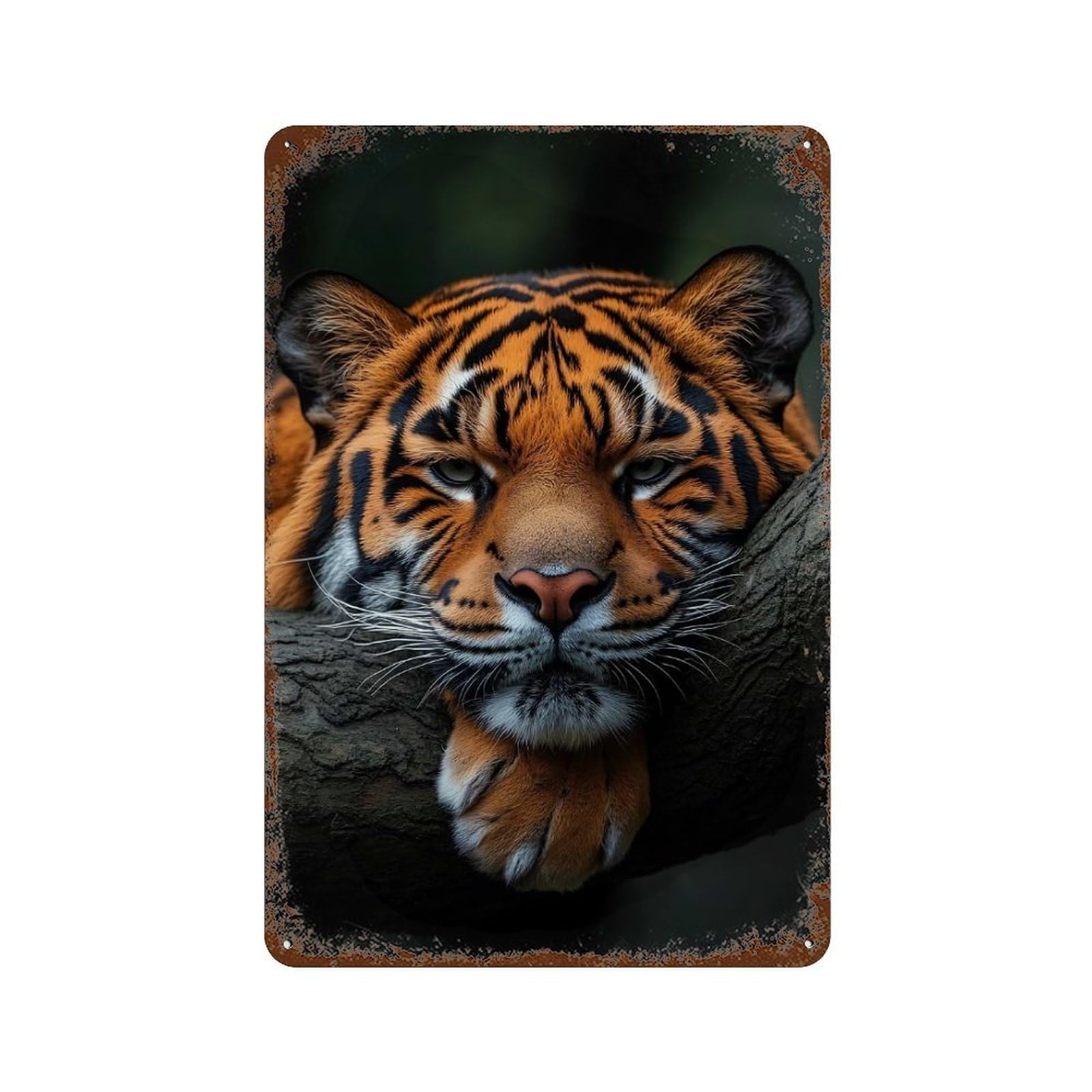 Resting Tiger Portrait Rust Effect Tin Sign 11.8"x7.9", Industrial Home Decor for Basement, Hobby Room And Garage Decor