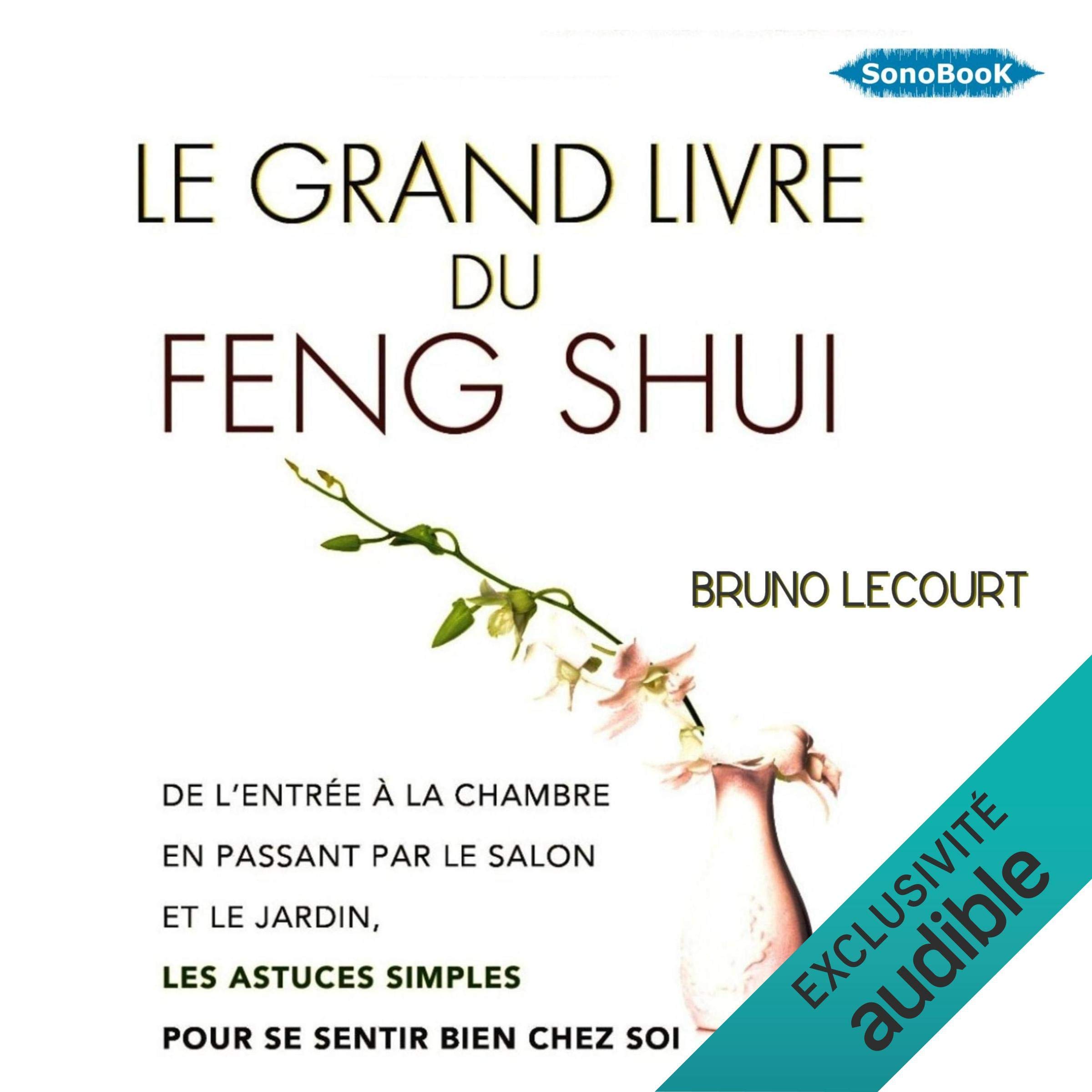Cover art for Le grand livre du Feng Shui